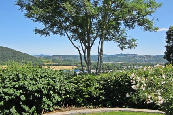 Blick ins Rheintal